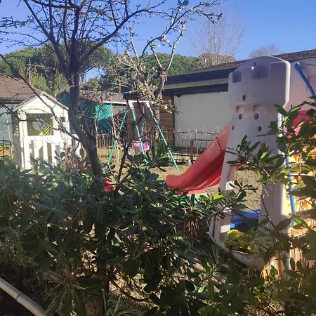 Campsite Edera