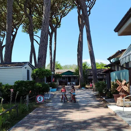 Camping Edera
